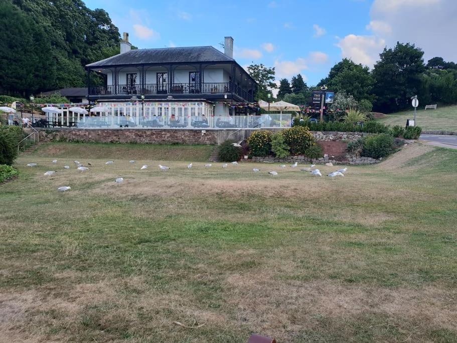 Beach Retreat Village Centre Location Shaldon Luaran gambar