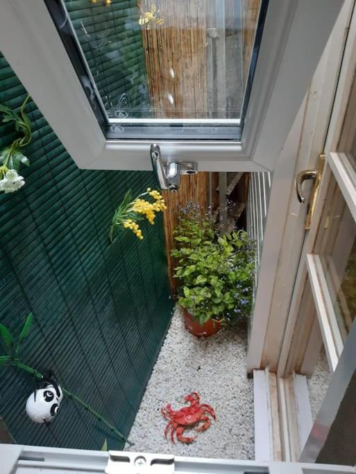 Beach Retreat Village Centre Location Shaldon Luaran gambar